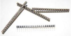 STRIPTORNITI             STRIP FEMMINA TORNITO  14 POLI